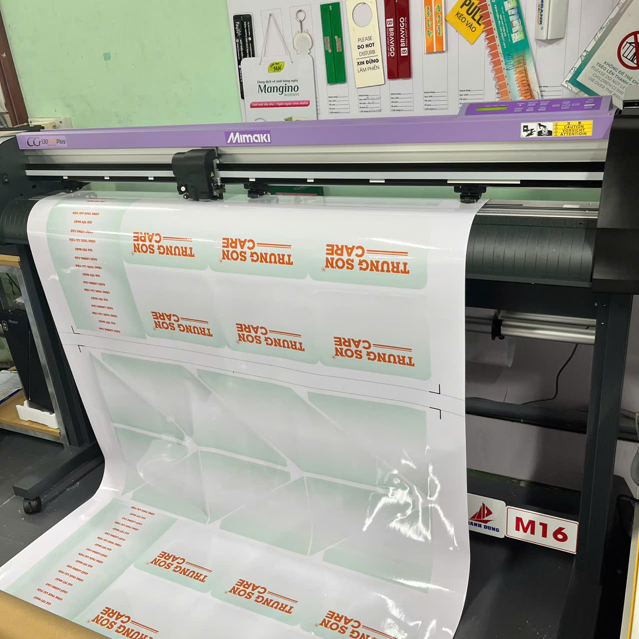 Mạnh Dũng Hà Nội