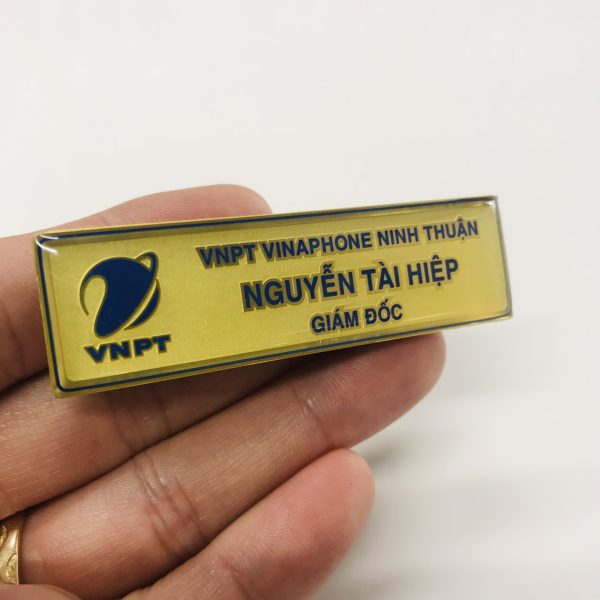 Mạnh Dũng Hà Nội