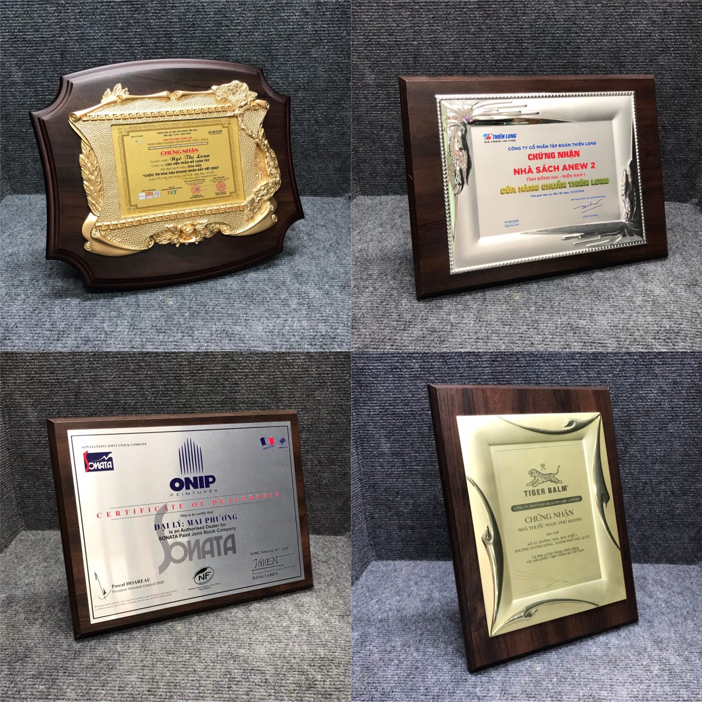 Mạnh Dũng Hà Nội