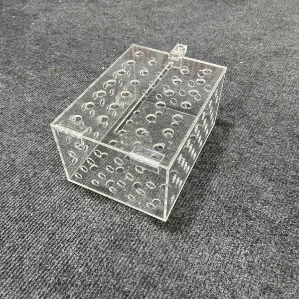 Mạnh Dũng Hà Nội