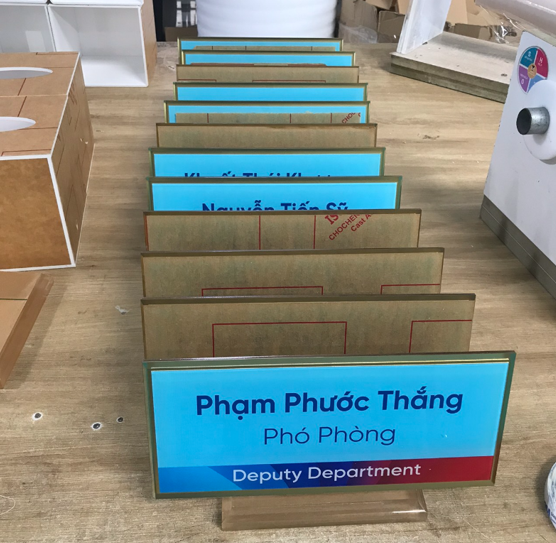 Mạnh Dũng Hà Nội