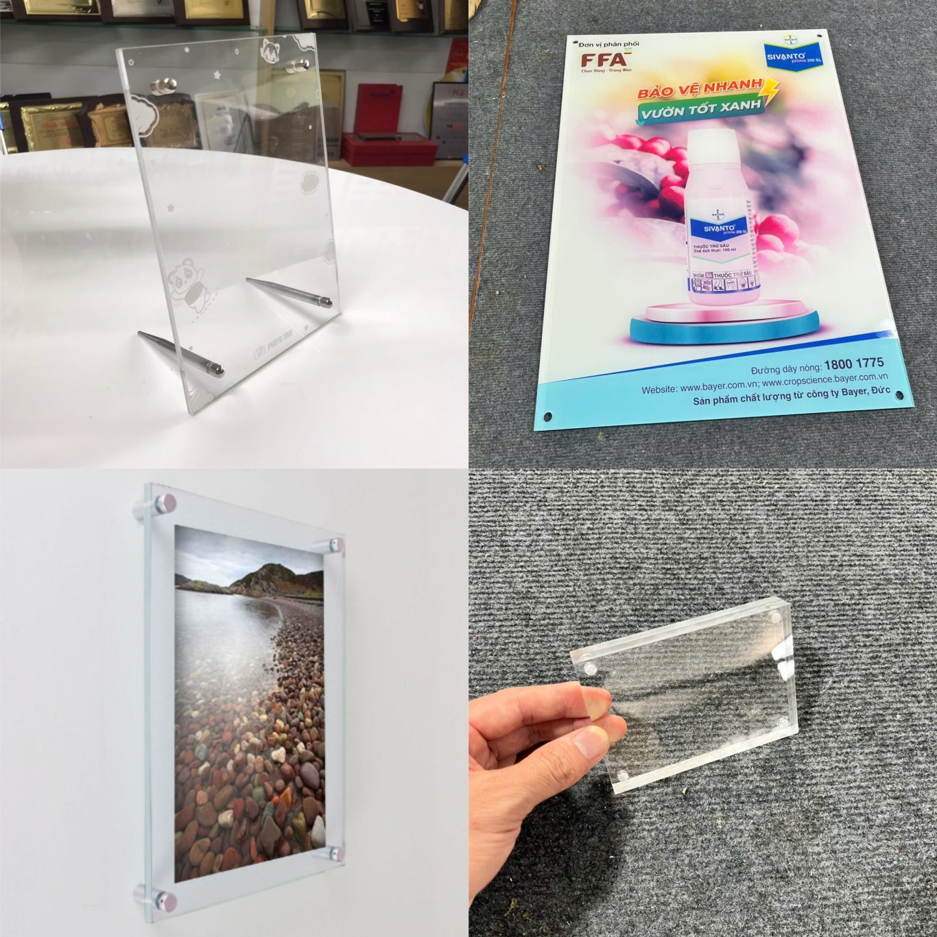 Mạnh Dũng Hà Nội