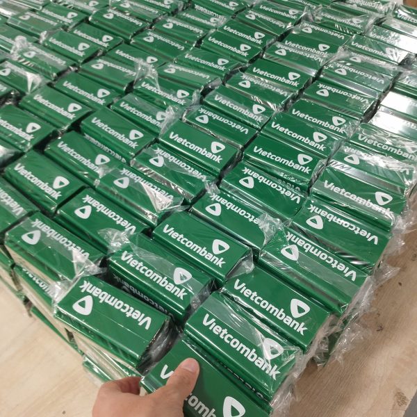 Mạnh Dũng Hà Nội