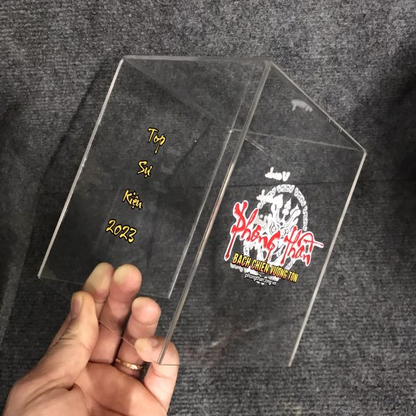 Mạnh Dũng Hà Nội