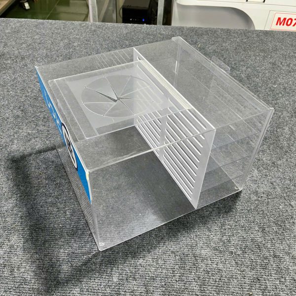 Mạnh Dũng Hà Nội