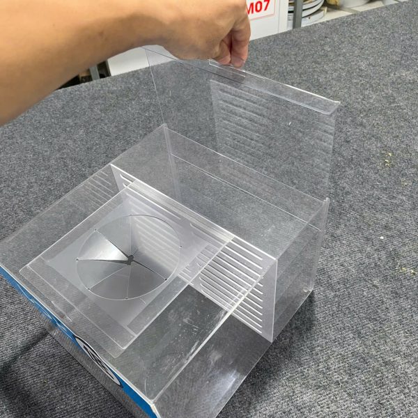 Mạnh Dũng Hà Nội