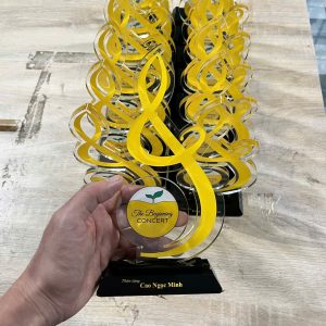 Kỷ niệm chương Mica gia công giá tận xưởng tại Hà Nội