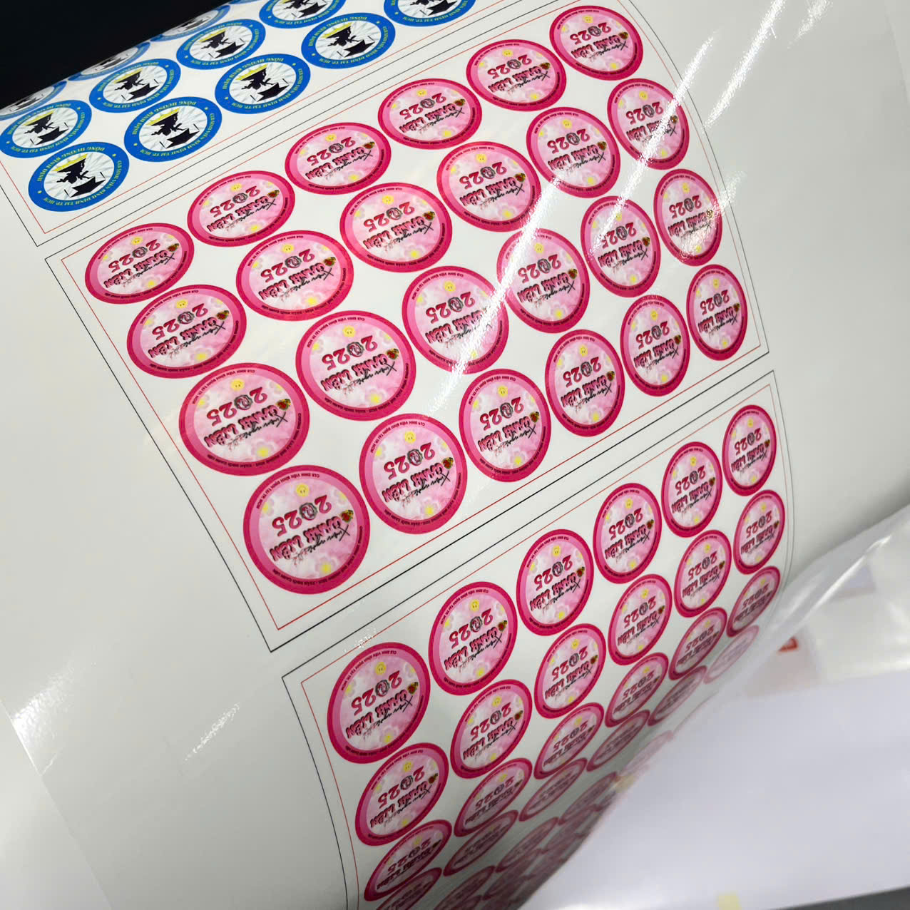 Mạnh Dũng Hà Nội