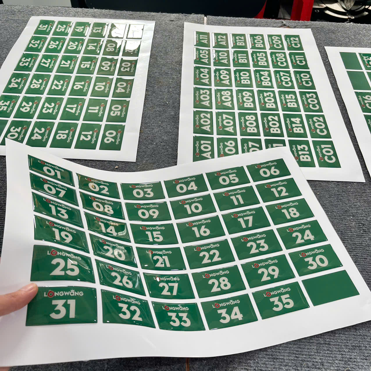 Mạnh Dũng Hà Nội