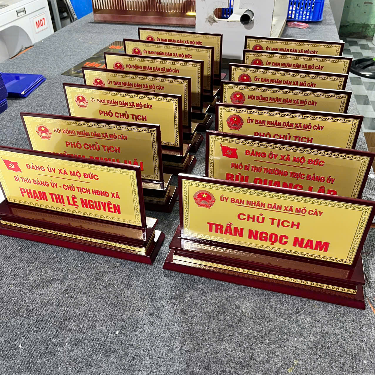 Mạnh Dũng Hà Nội