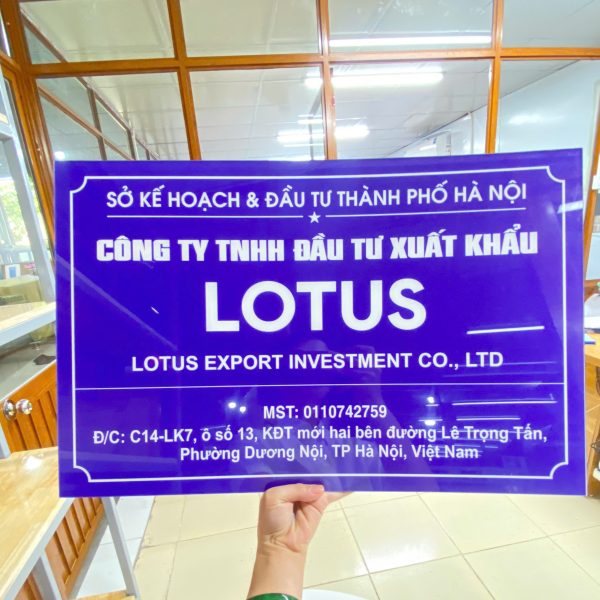 Mạnh Dũng Hà Nội