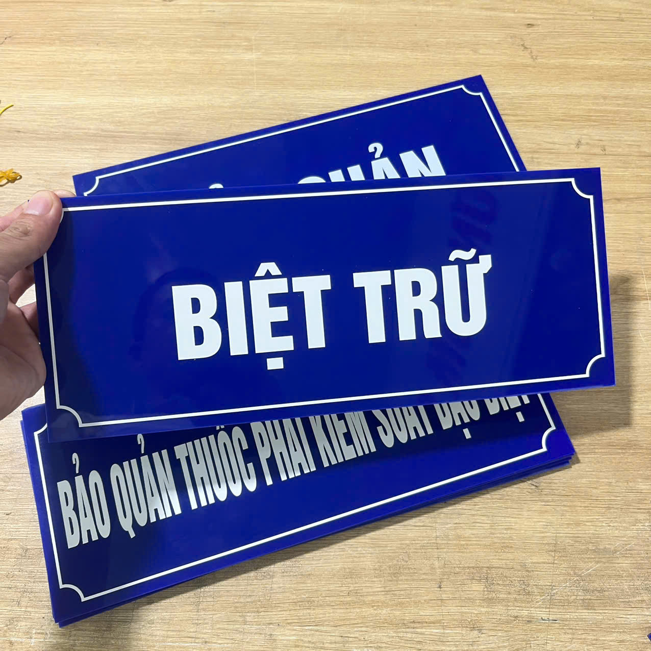 Mạnh Dũng Hà Nội