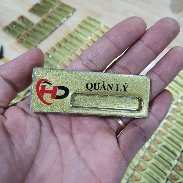 Mạnh Dũng Hà Nội