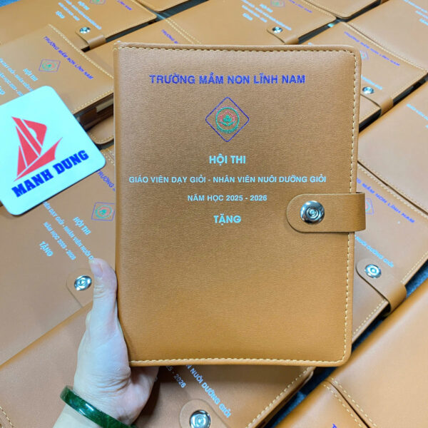 Mạnh Dũng Hà Nội