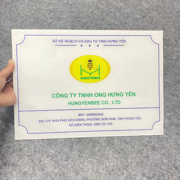 Mạnh Dũng Hà Nội