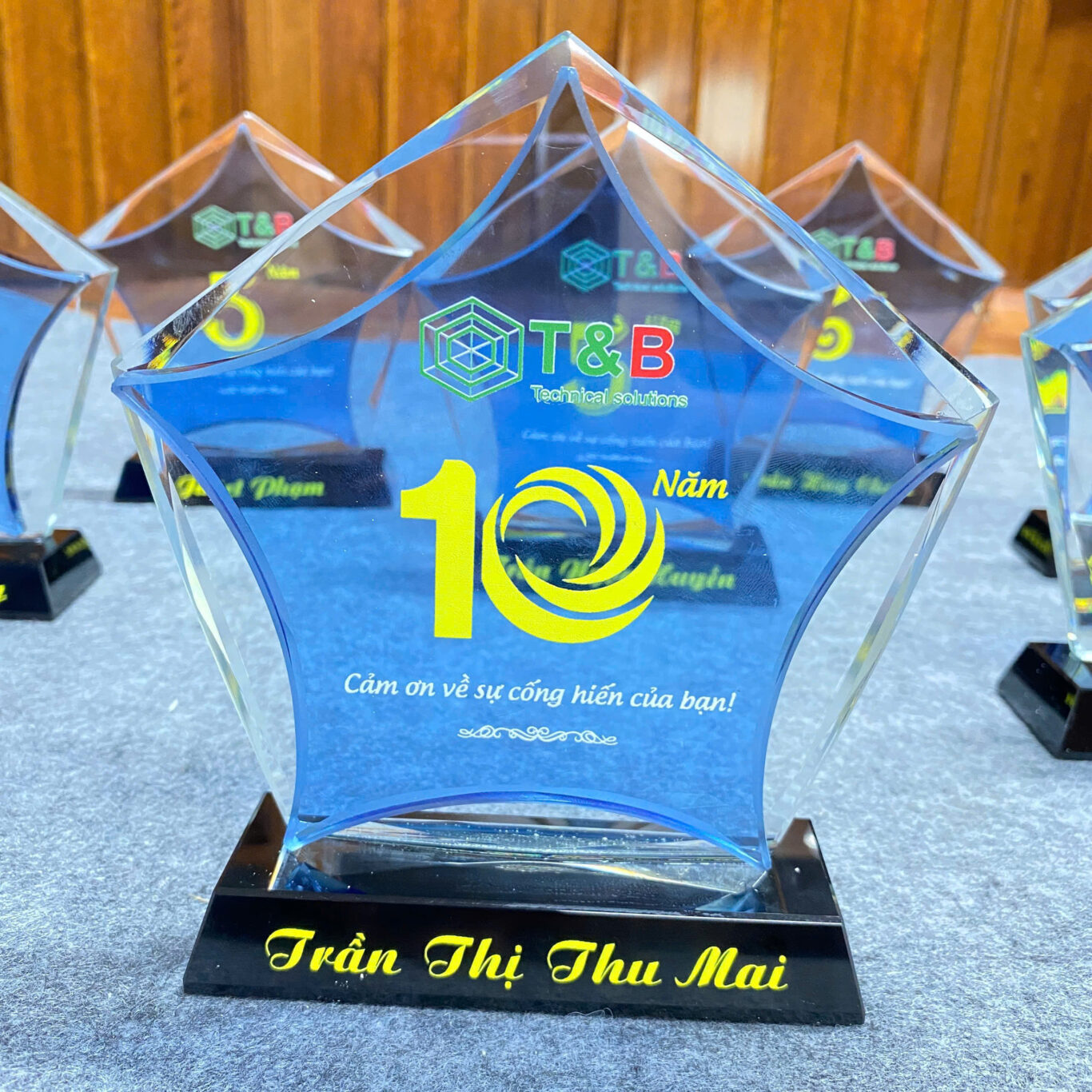 Mạnh Dũng Hà Nội