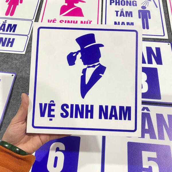 Mạnh Dũng Hà Nội