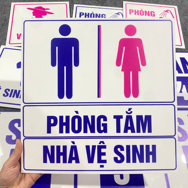 Mạnh Dũng Hà Nội