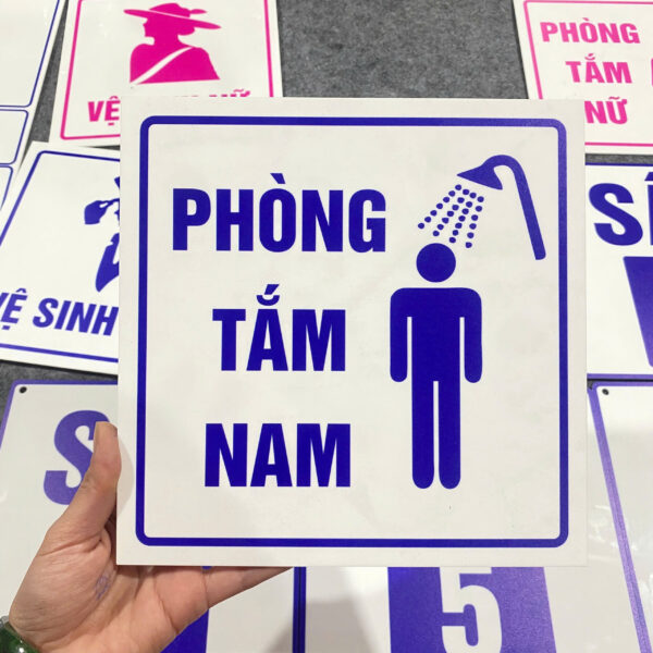Mạnh Dũng Hà Nội